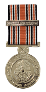 Web-400h_NTP-Valour-Medal.png