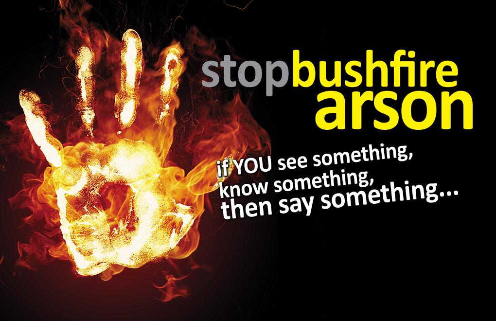 bushfire arson image