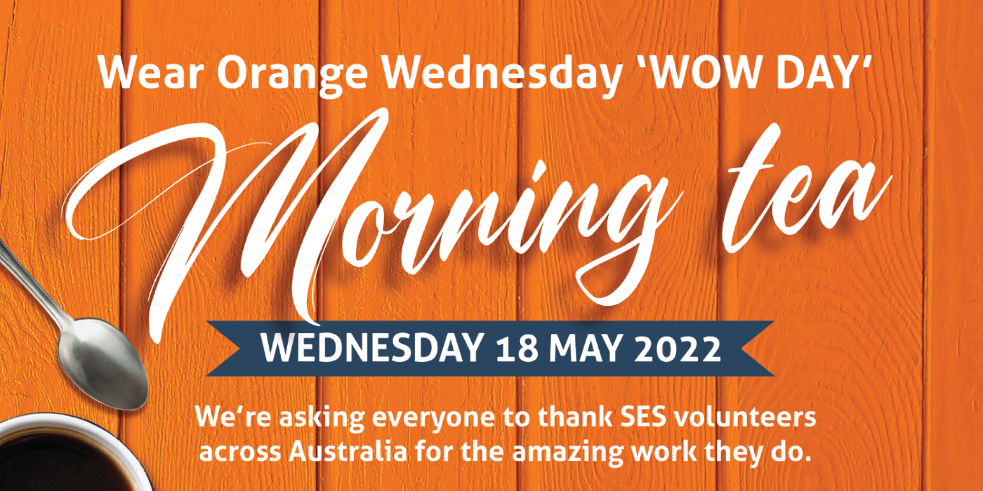WOW Day morning tea banner
