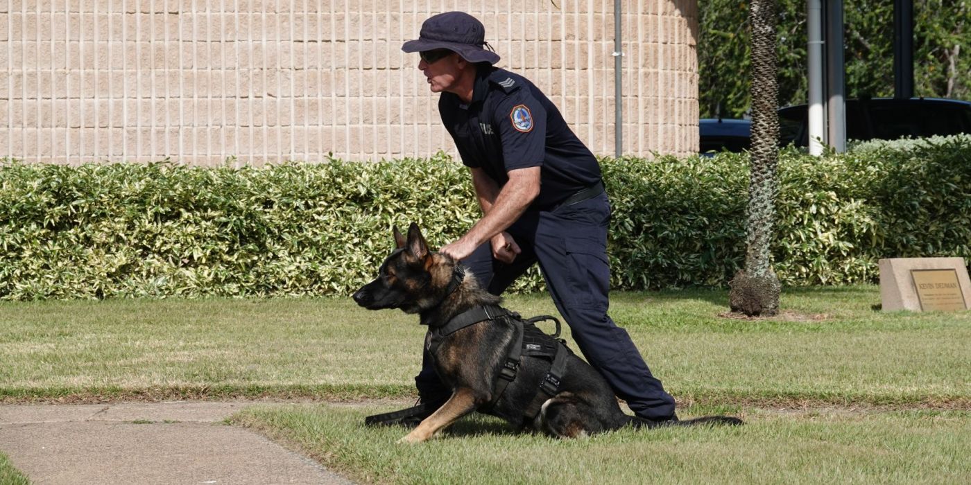 5 November - Police Patrol Dog Freddy - Alice Springs (3)