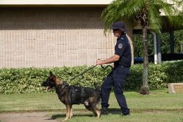 5 November - Police Patrol Dog Freddy - Alice Springs (2)