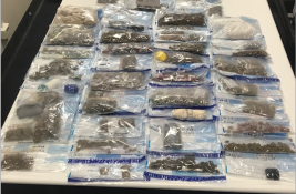 Operation Starck - Results update 1 - Drug seizures 2