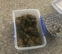 Charges – Arson, Criminal Damage and Drug Offences (5)