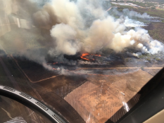 McMillians Road Wildfire