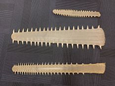 IMAGE OF THREE SAWFISH ROSTRUMS