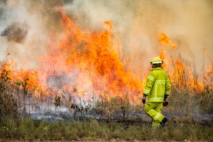 Bush fire