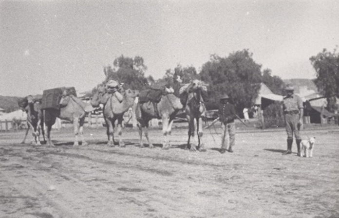 Camel Patrol Alice Springs - 1932