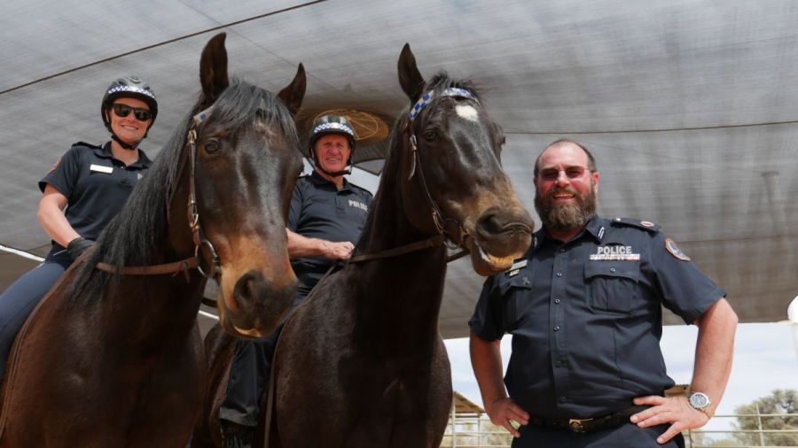 police horses